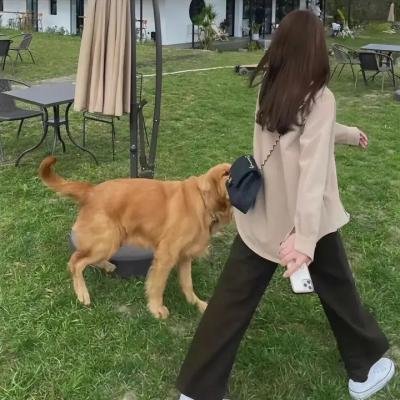 纽约的女人们