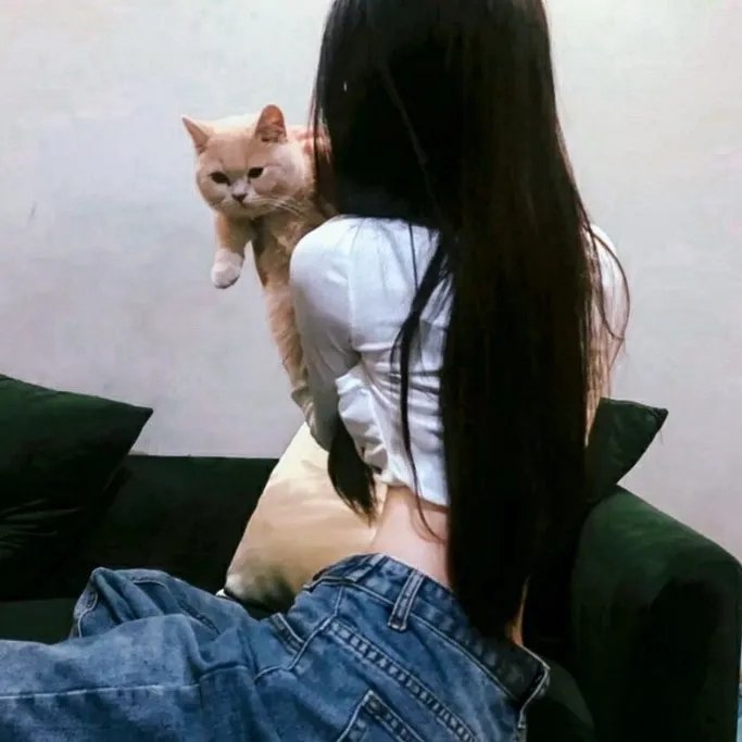 给我庇护